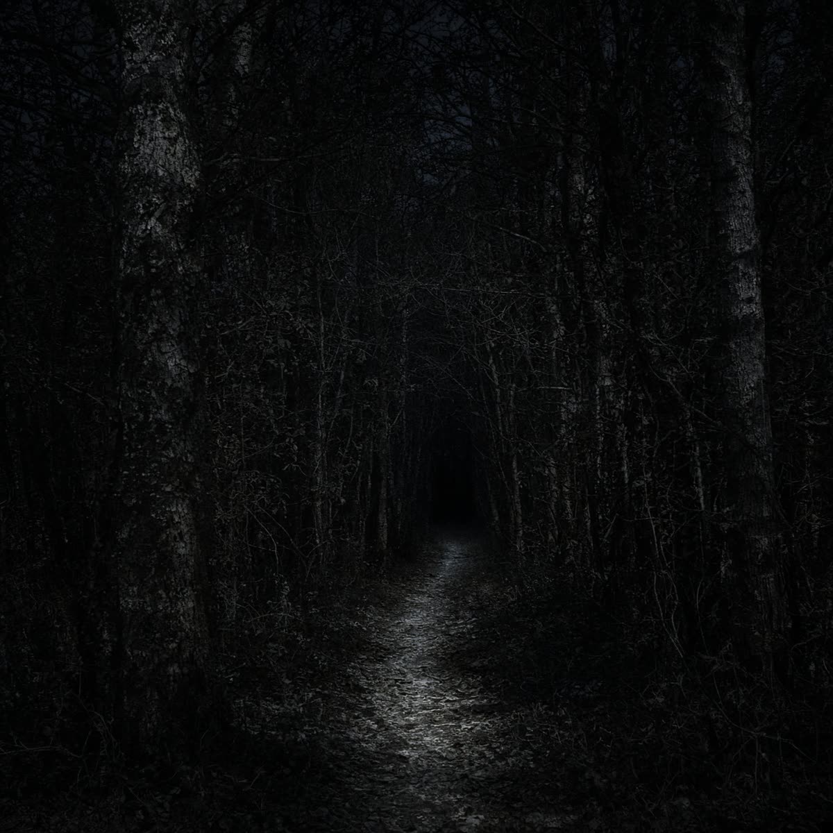 The Darkness Doesn't Accept cover